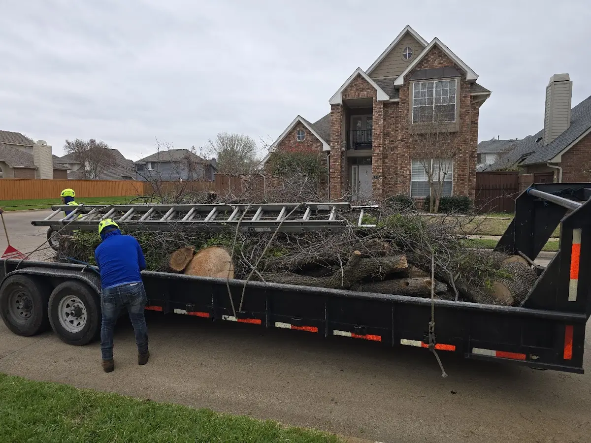 Expert Tree Fertilization with proper safety equipment in Bristol